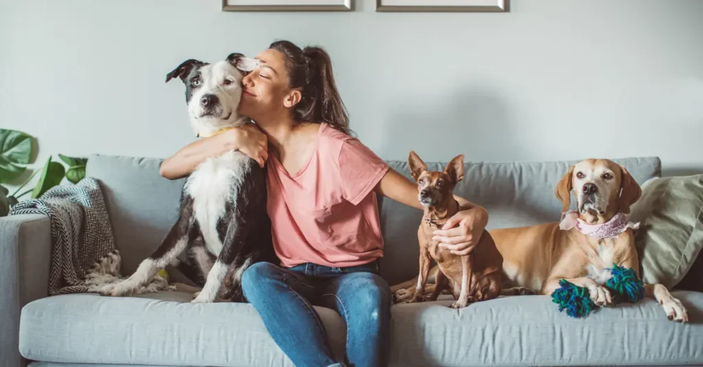 Serviço de Dog Walker e Pet Sitter cuidador de pets